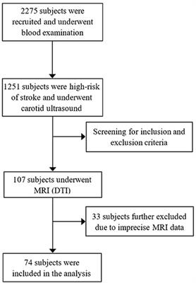 Associations Among Diffusion Tensor Image Along the Perivascular Space (DTI-ALPS), Enlarged Perivascular Space (ePVS), and Cognitive Functions in Asymptomatic Patients With Carotid Plaque